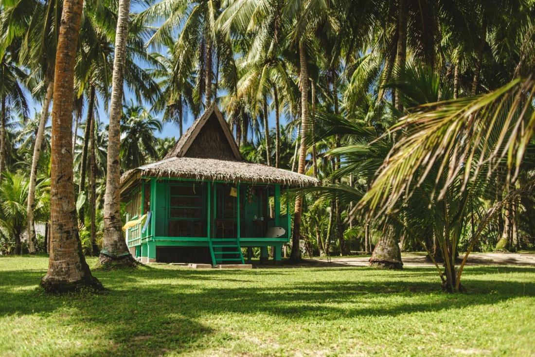 Pacifico Bigwish Beach Resort San Isidro  Kültér fotó